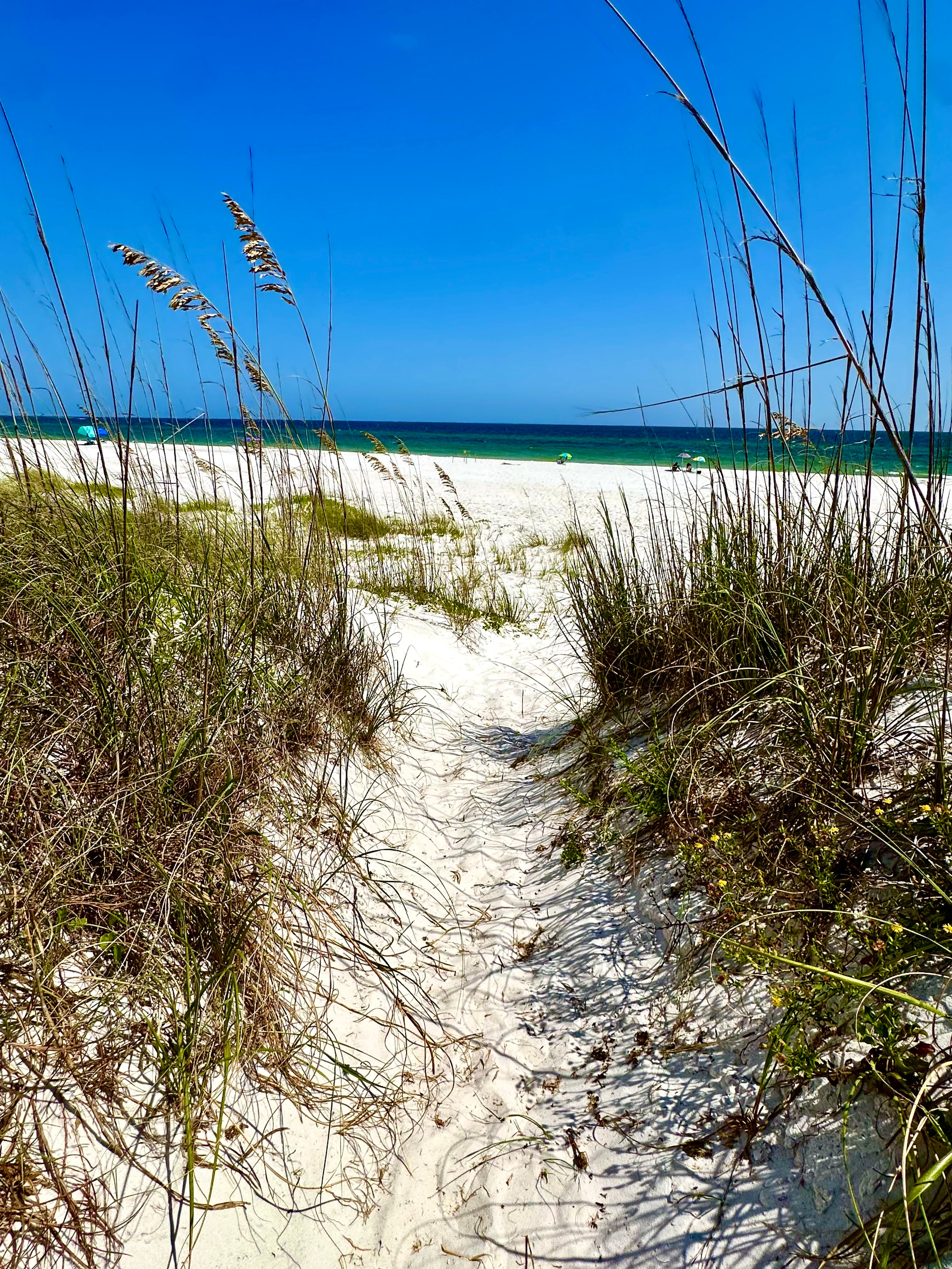 Beach Path