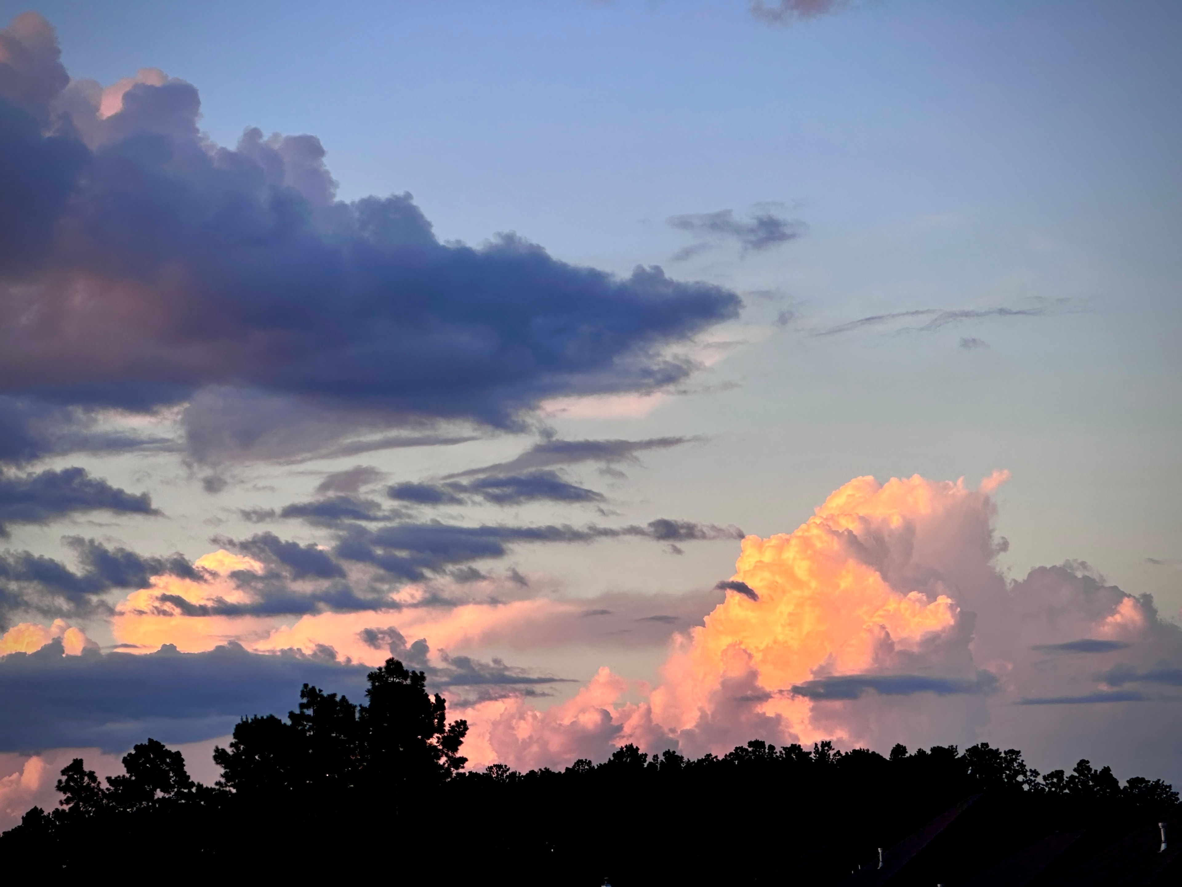 The Hour Everything Softened